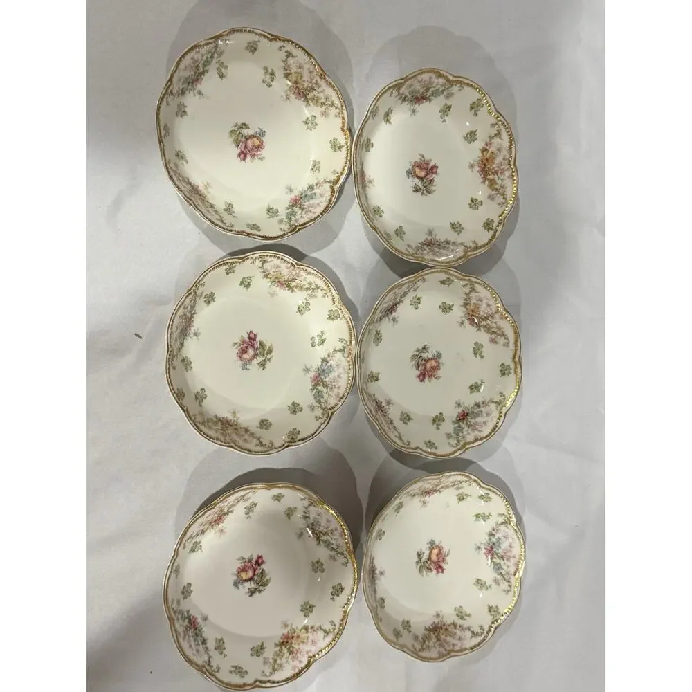 Set of 6 Antique Haviland & Co. Limoges France Floral Berry Bowls